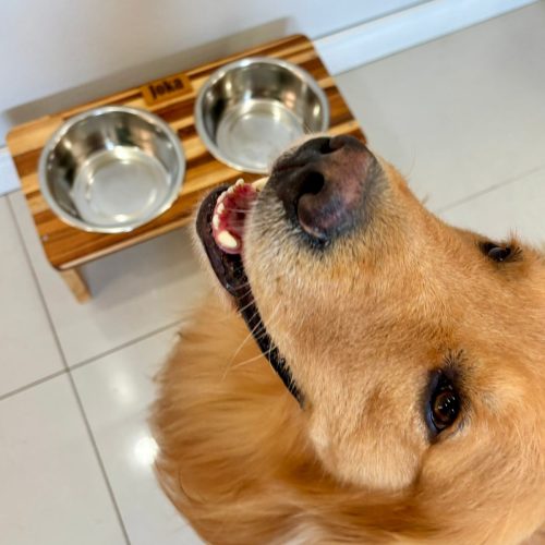 WhatsApp Image 2025-12-02 at 20.16.09 (2)